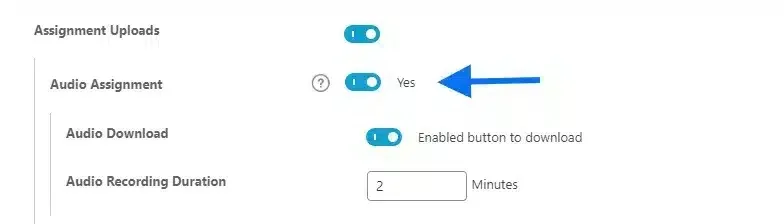 wpinnovators product audio assignment for learndash audio assignment settings image