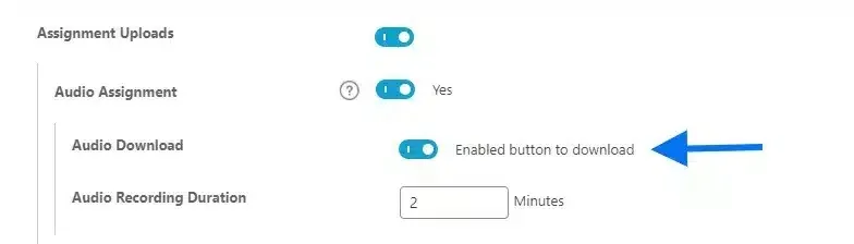 wpinnovators product audio assignment for learndash audio download settings image